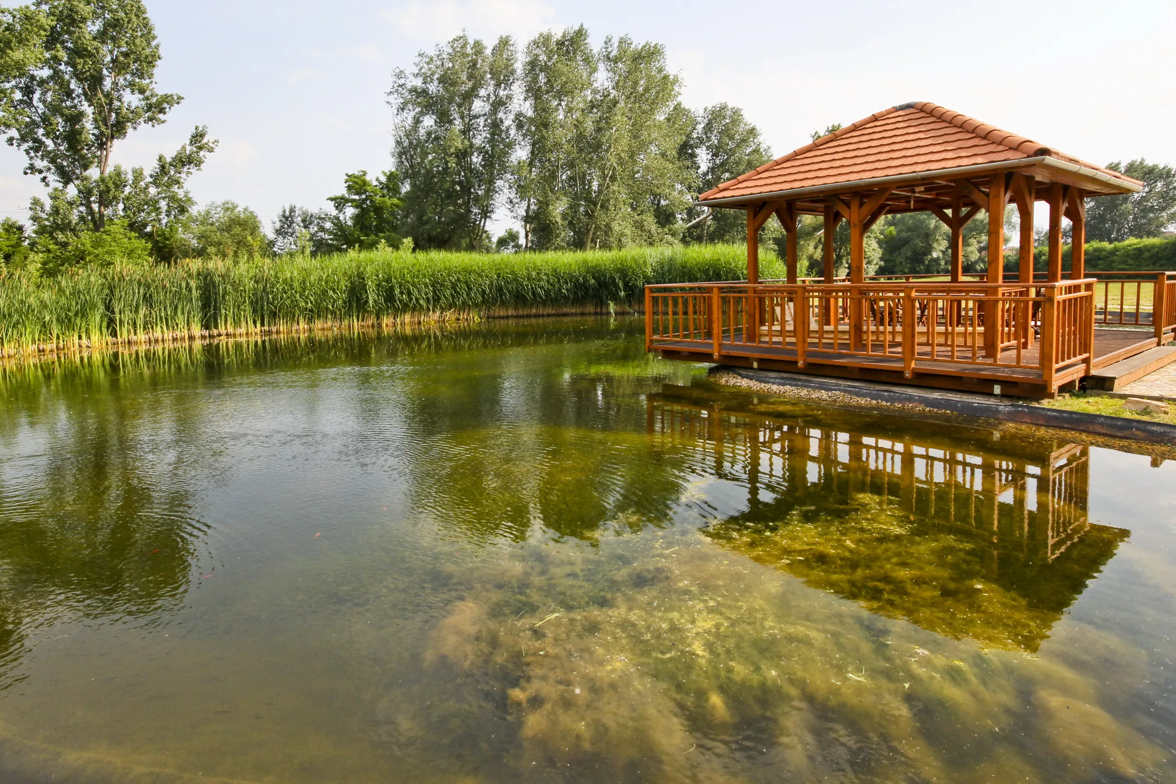 2. kép
